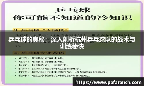 yy易游体育官网
