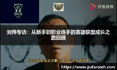 刘伟专访：从新手到职业选手的英雄联盟成长之路回顾