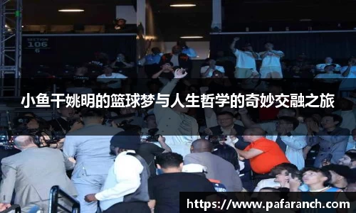 小鱼干姚明的篮球梦与人生哲学的奇妙交融之旅