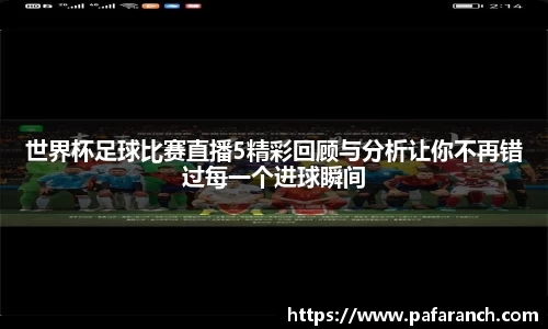 世界杯足球比赛直播5精彩回顾与分析让你不再错过每一个进球瞬间